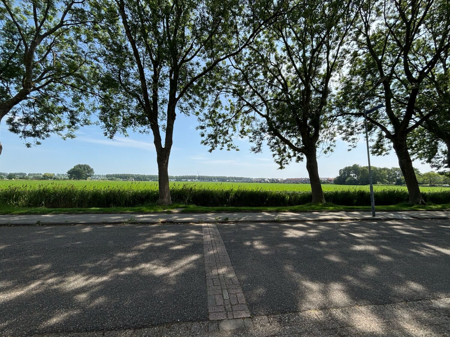 02 straatbeeld