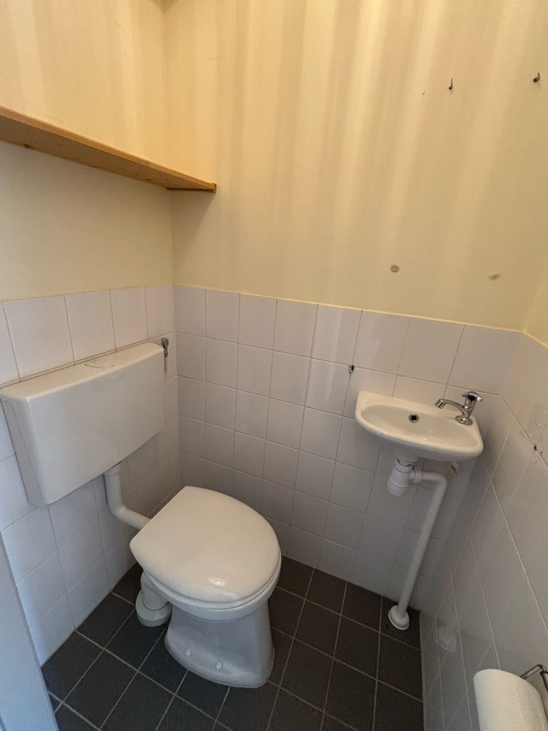 06 toilet
