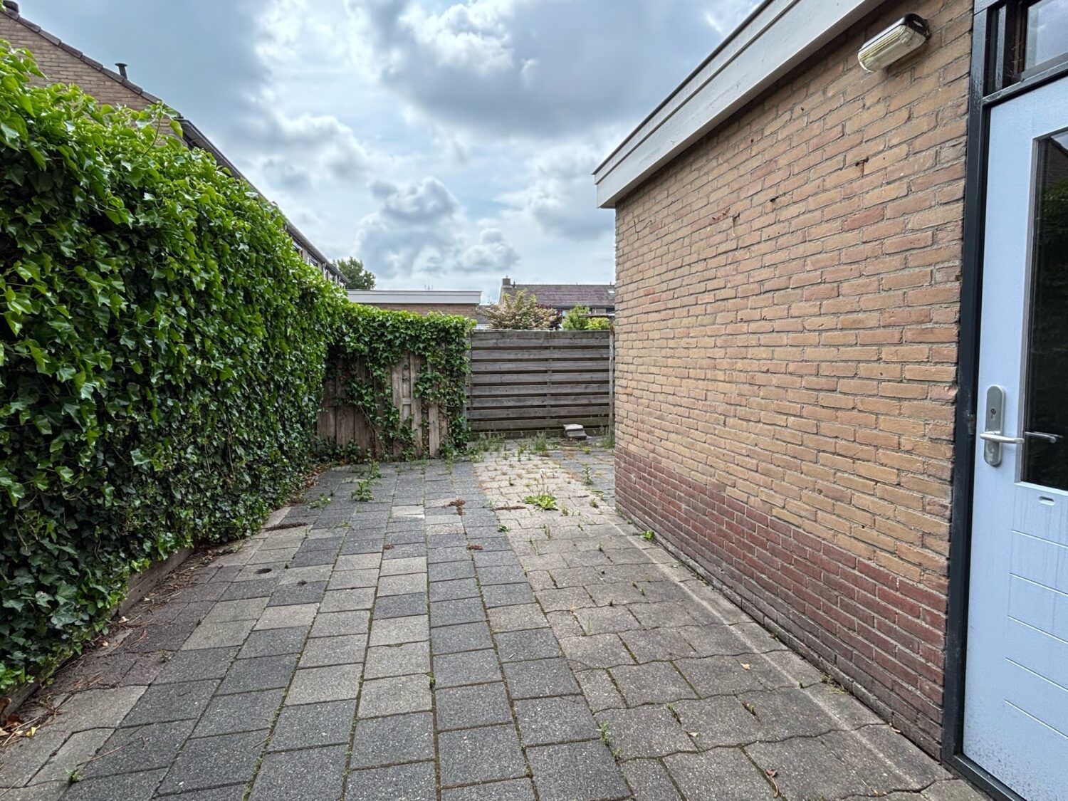 13 tuin
