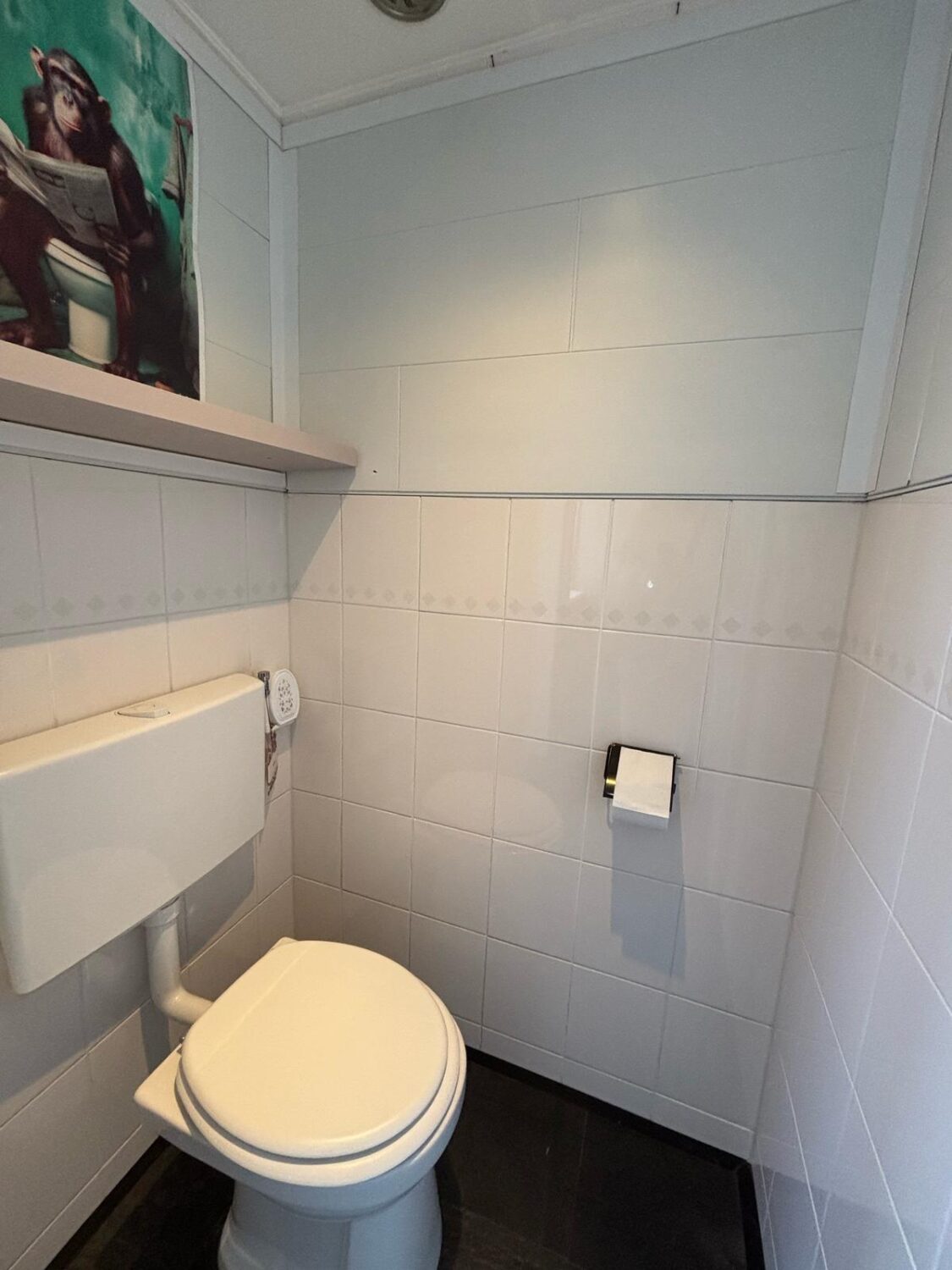 05 toilet