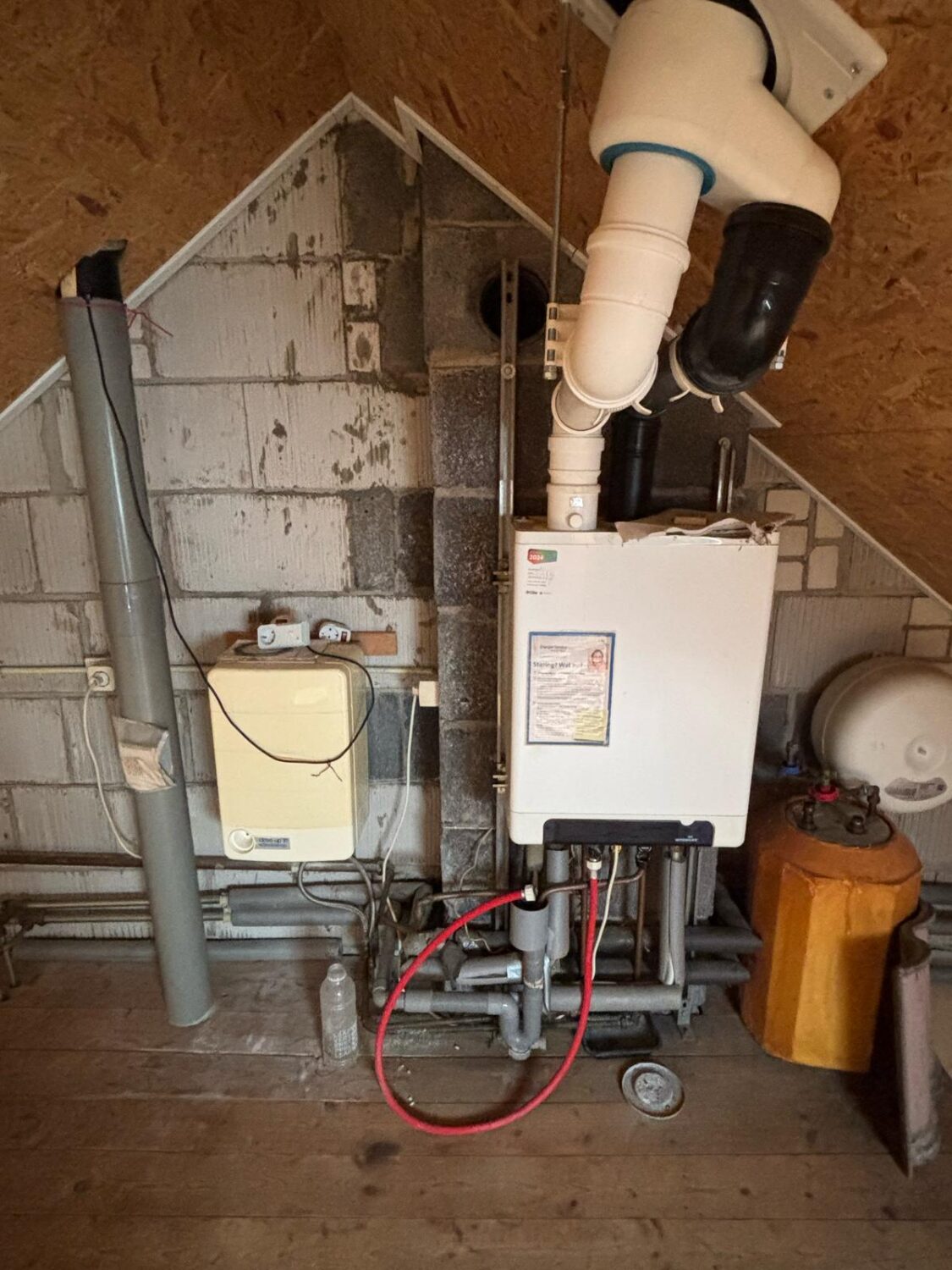 11c cv