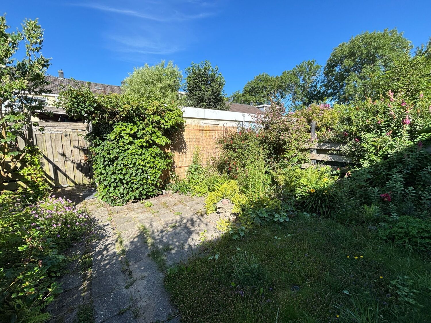 24 achtertuin
