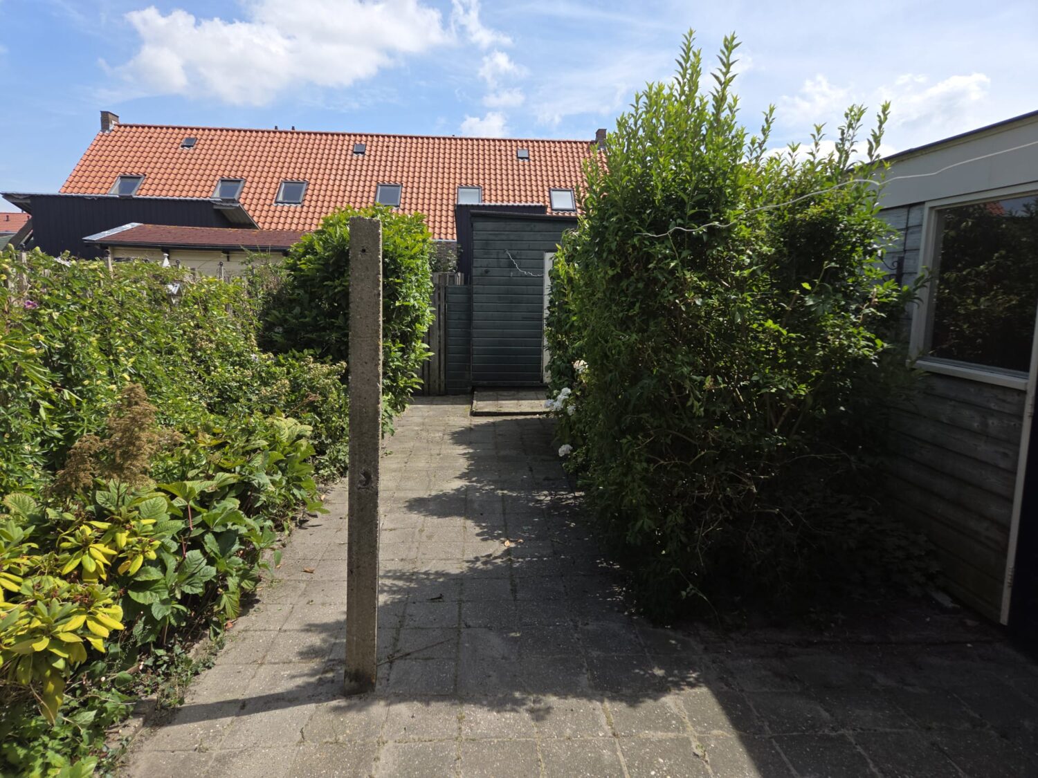 IMG-20250718-WA0006