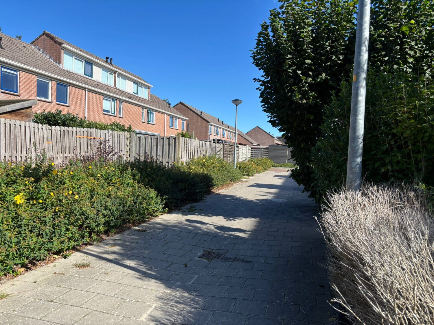 02 straatbeeld