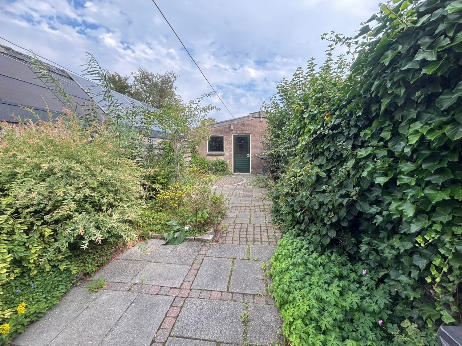 12 tuin