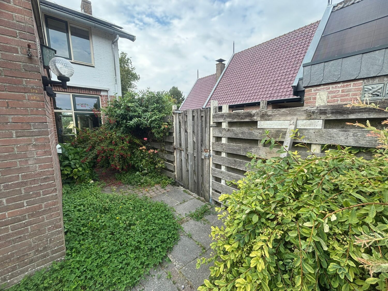17 tuin