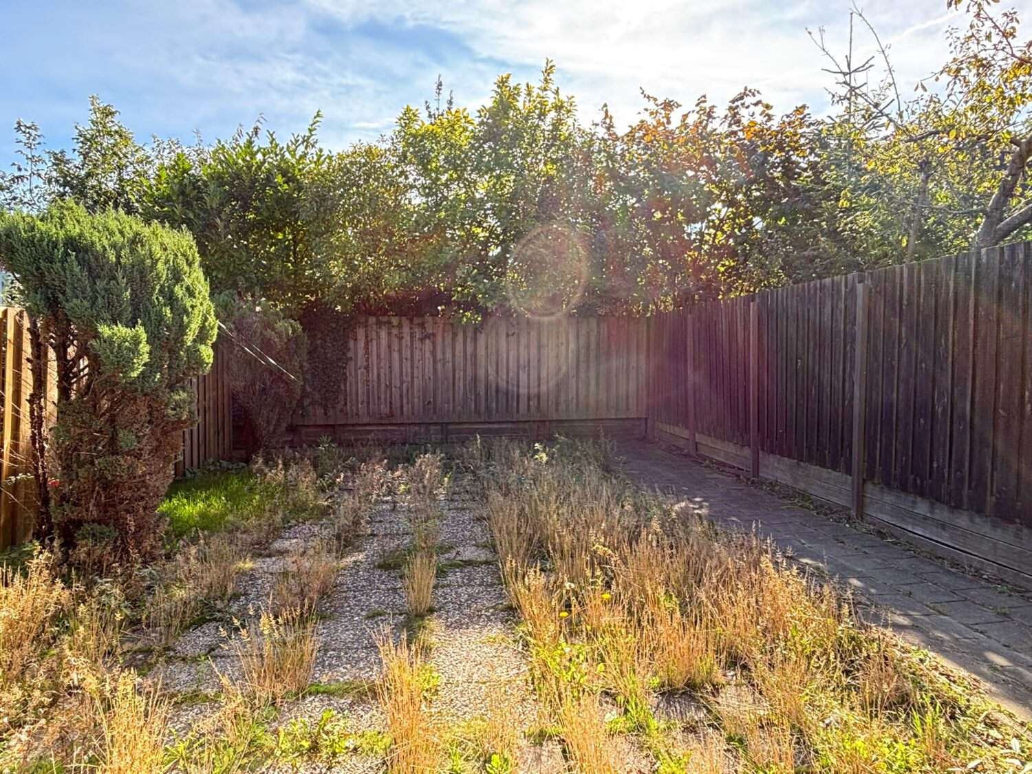 19 achtertuin