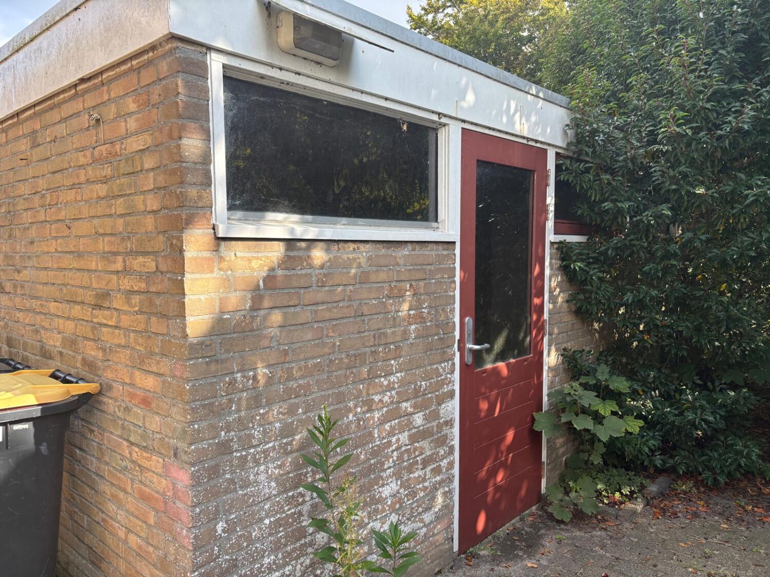 07