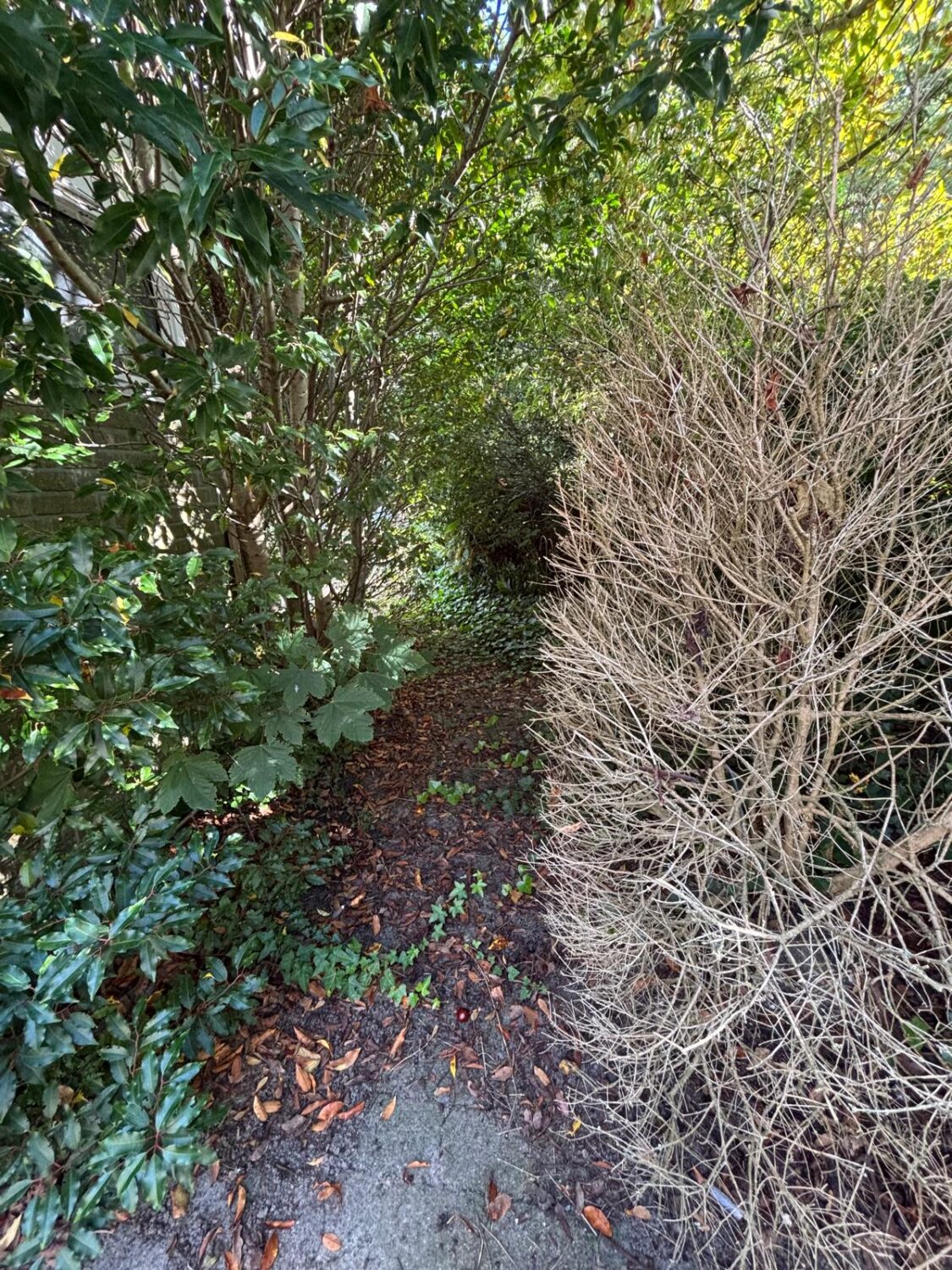 09
