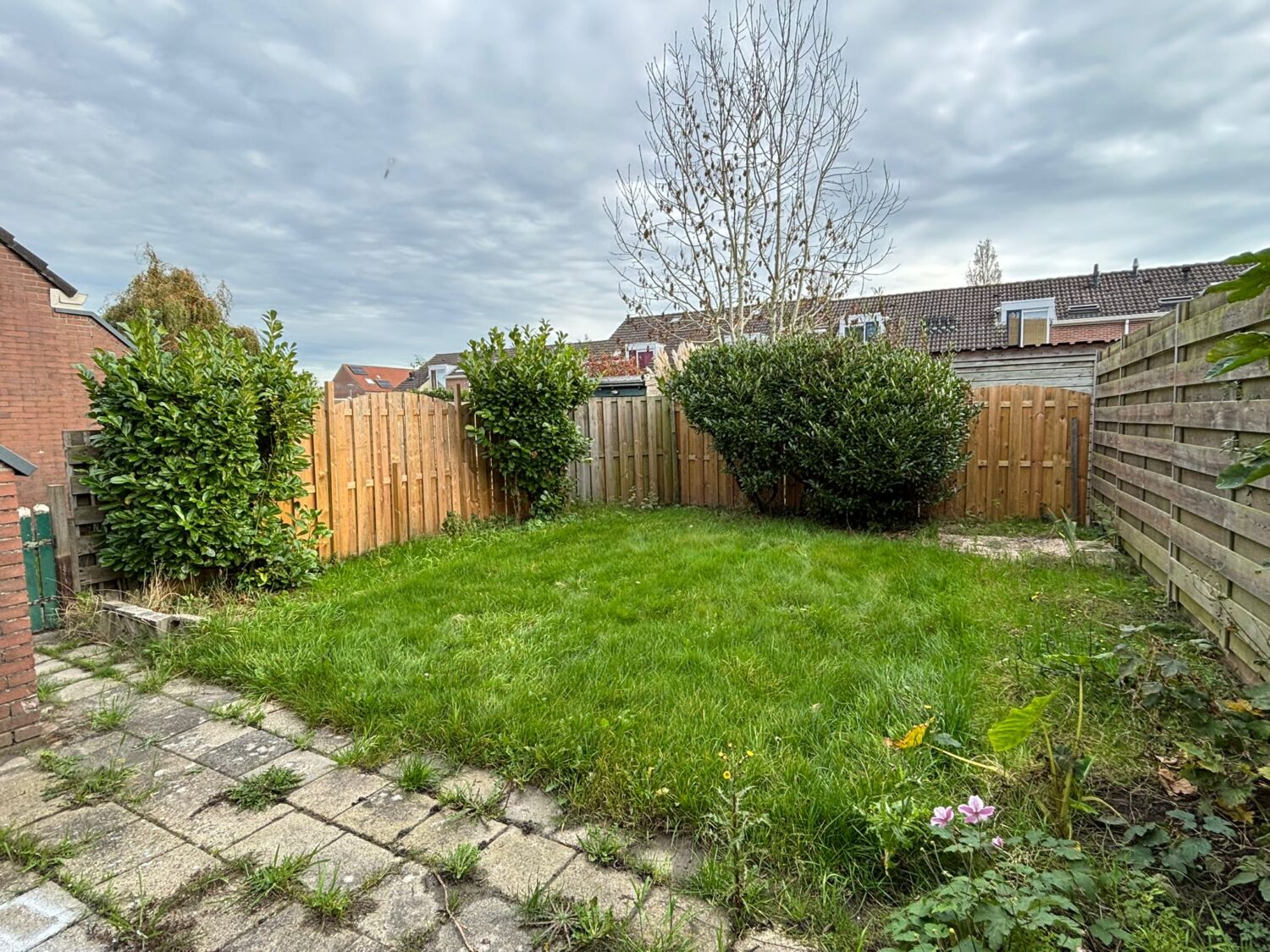 8_IMG-20251112-WA0030