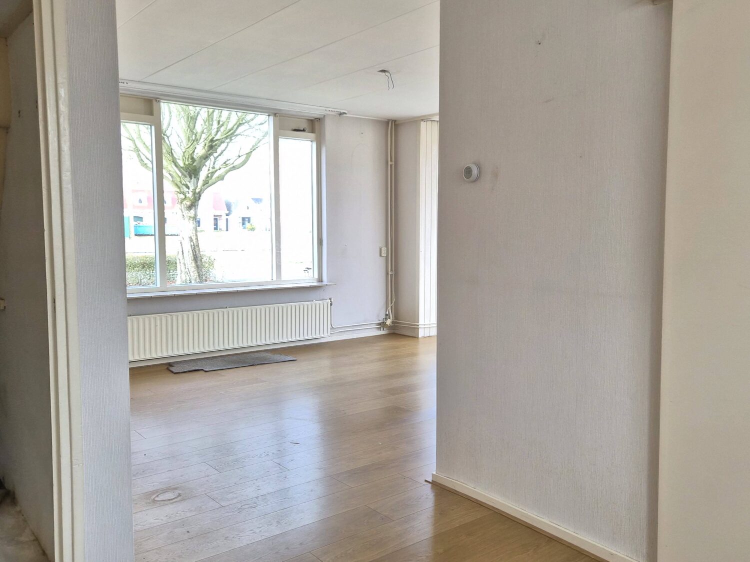 10_WhatsApp Image 2026-02-03 at 16.28.58 (3)