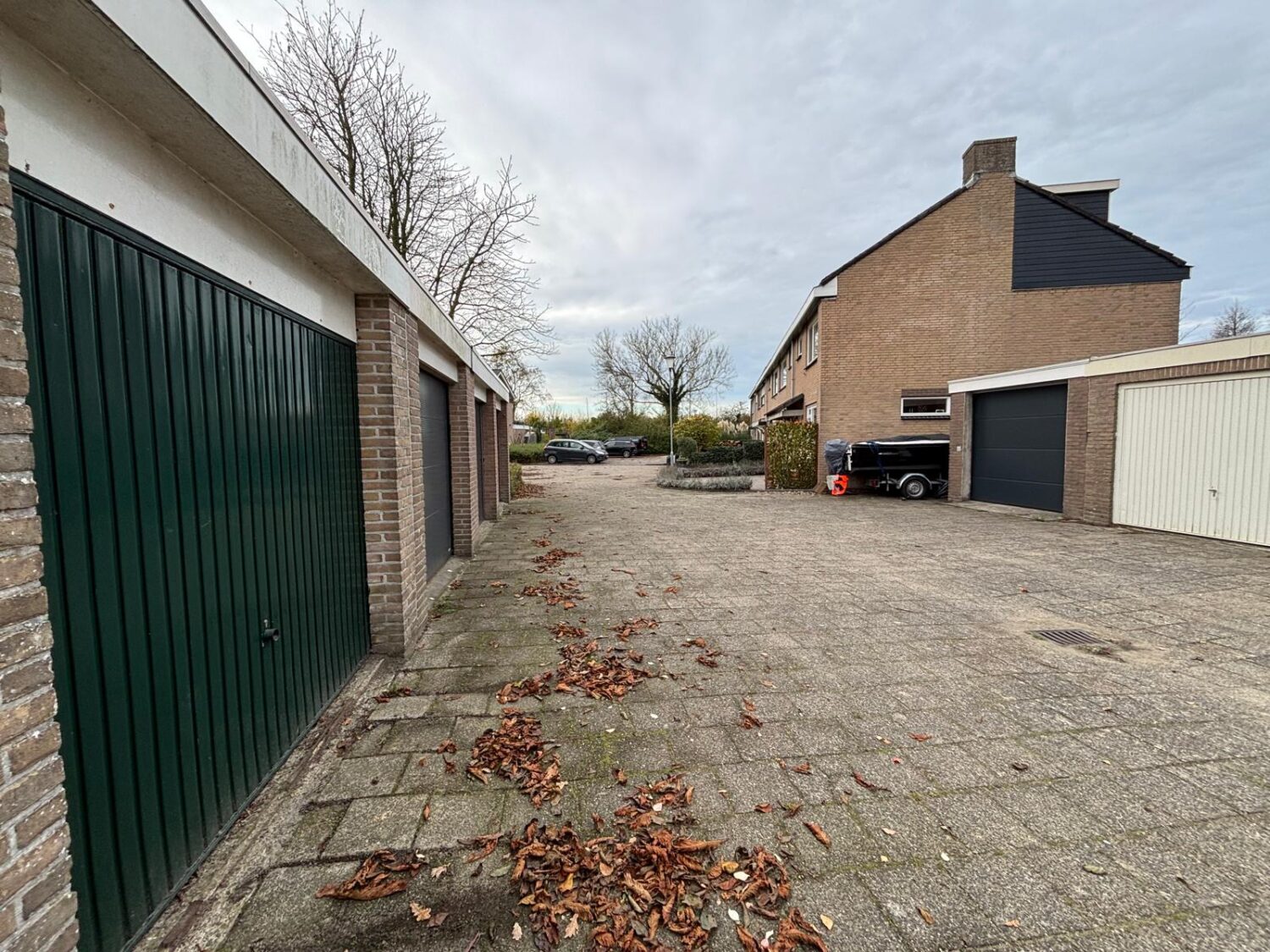 WhatsApp Image 2026-02-09 at 17.13.07 (1)