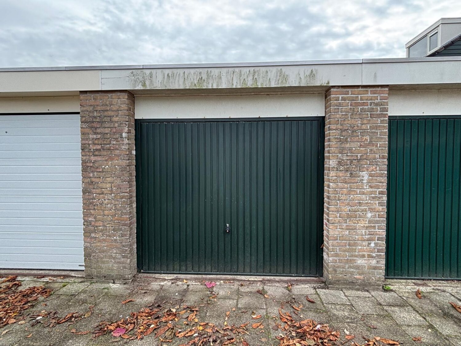 WhatsApp Image 2026-02-09 at 17.13.07 (2)