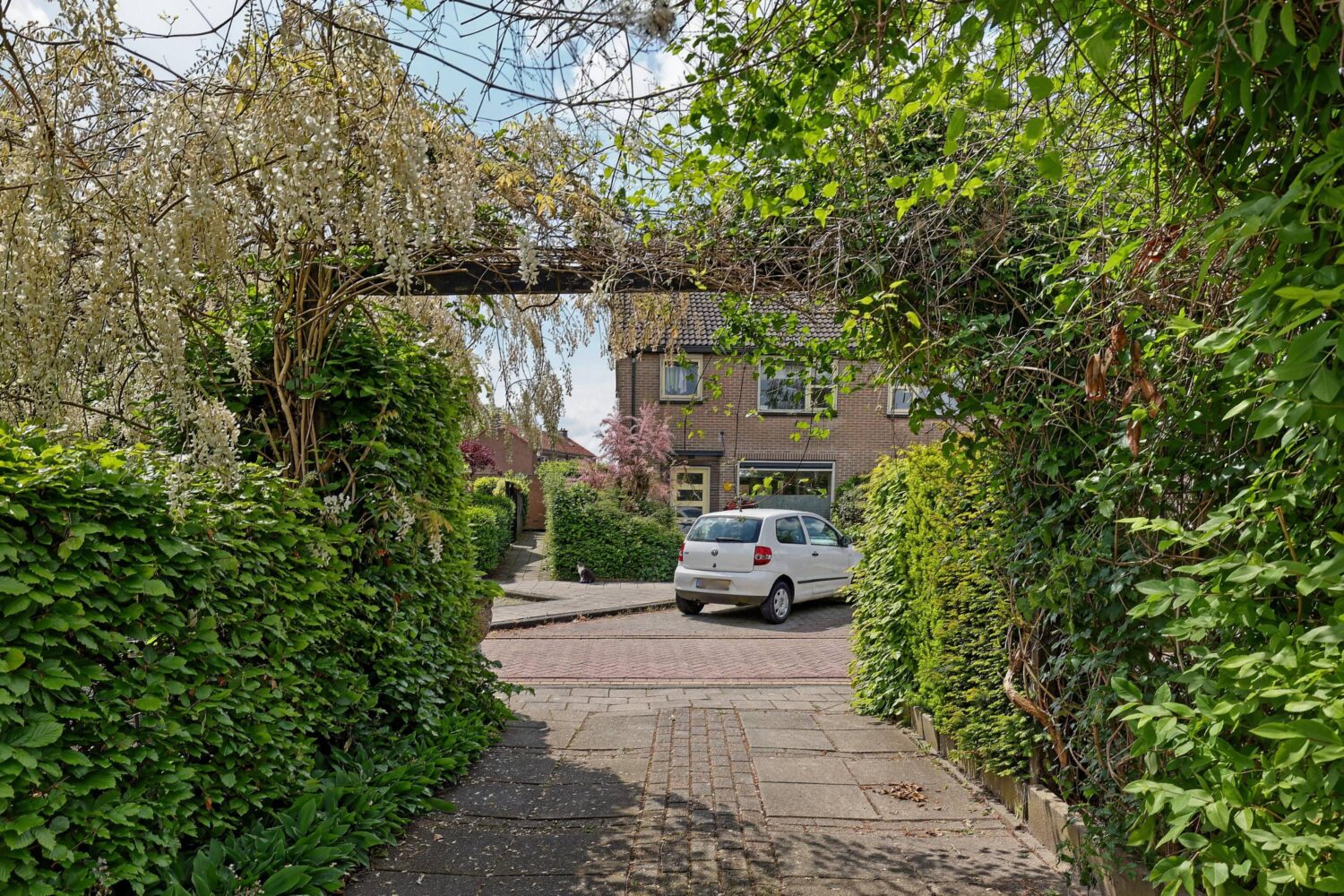 30_FH (27)