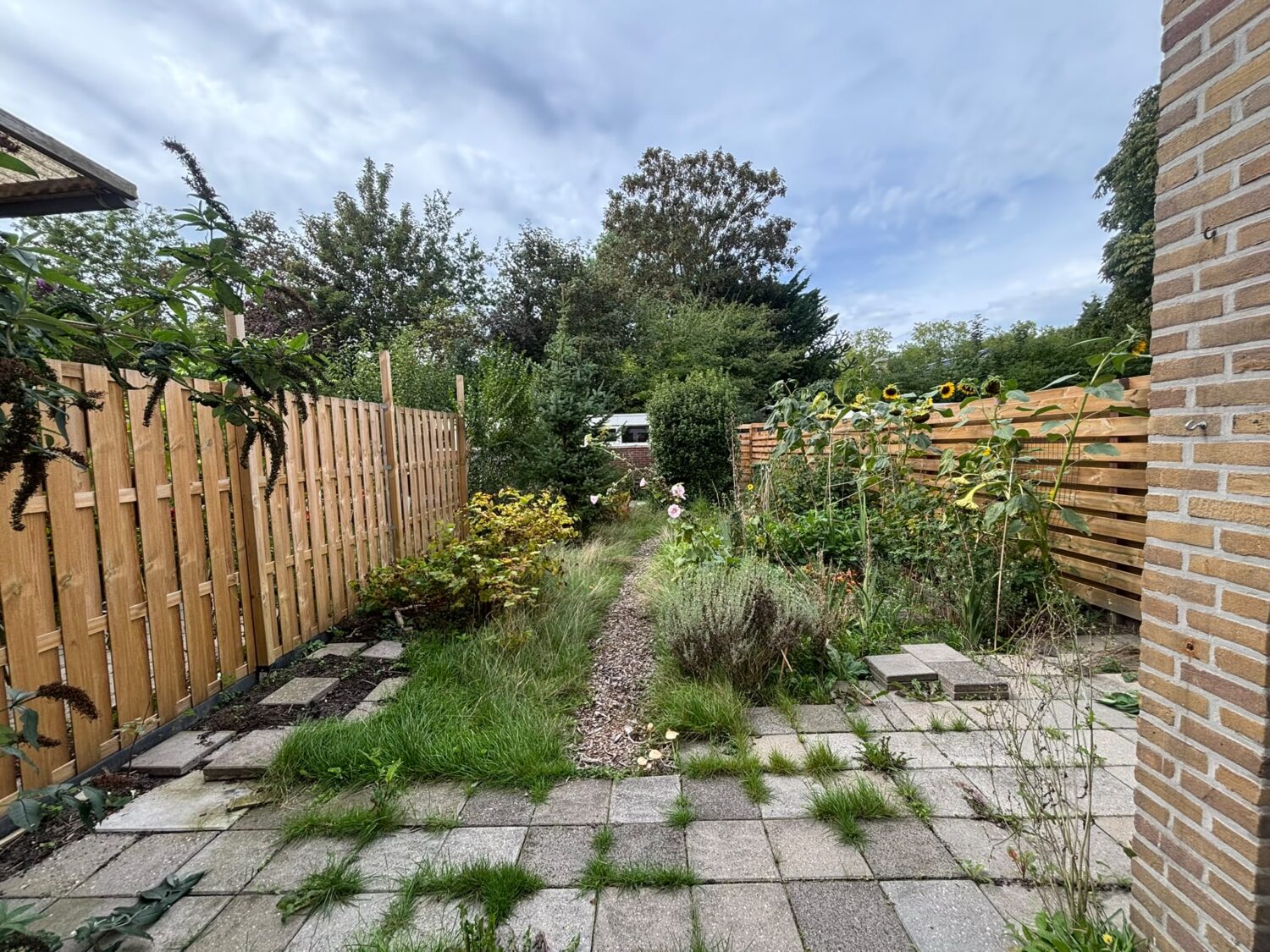 14_10 achtertuin